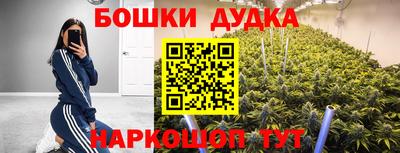 бошки Кимры
