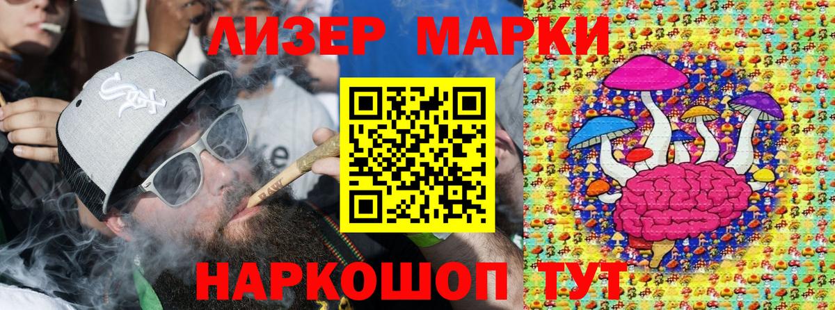 где найти наркотики  Марки N-bome 1,5мг  Камышлов  Марки NBOMe  Вход с VPN  Марки N-bome 1,5мг 