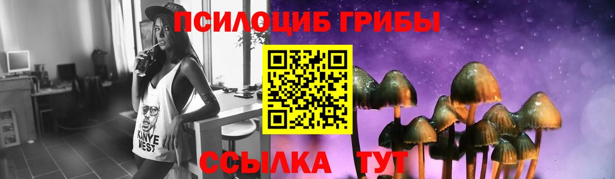 Камышлов  Галлюциногенные грибы мухоморы  Вход с VPN 